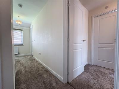 Picture 29